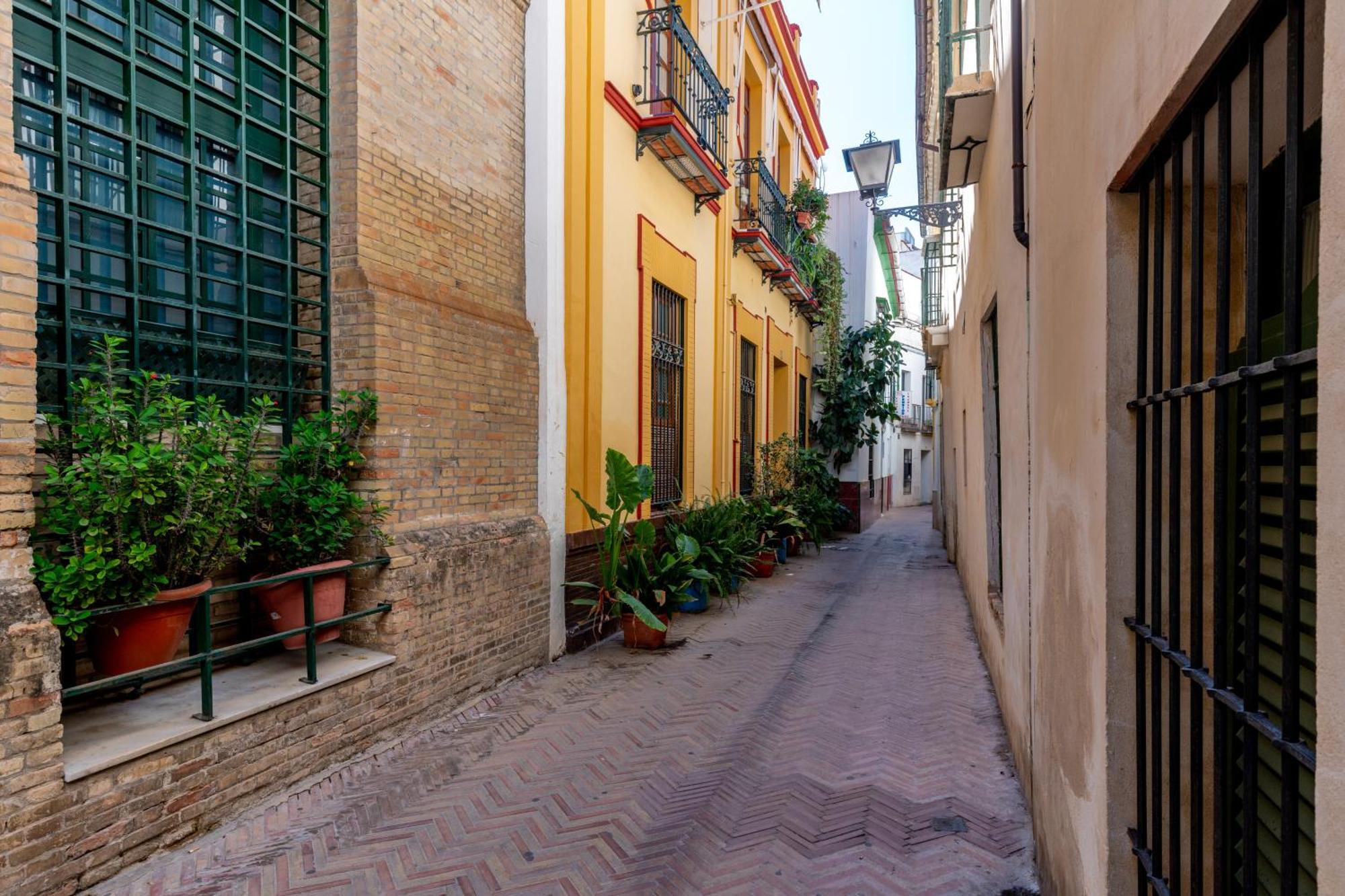 RC Sevilla Centro Histórico CatedralJudería Exterior foto